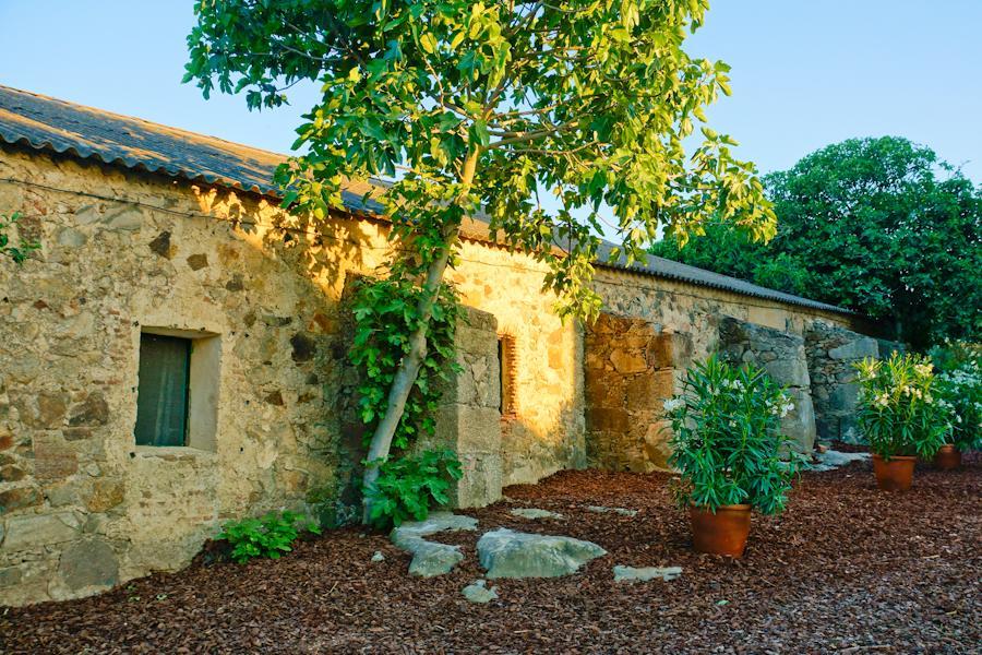 Casa Rural Castillo De Caces Kültér fotó